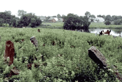 Jewish Cemetery, 1991